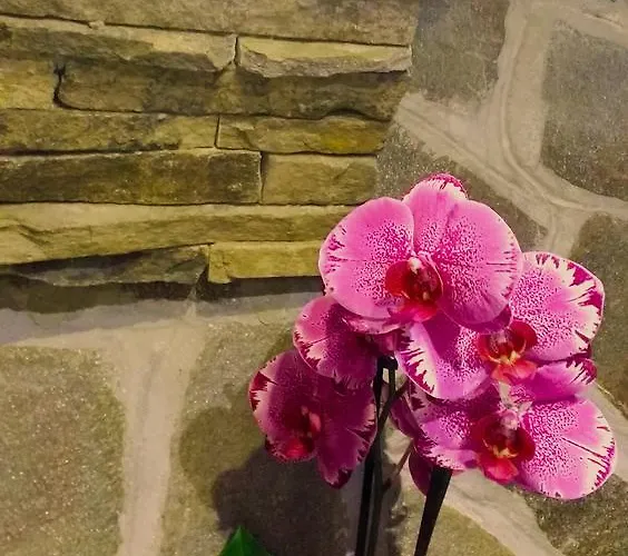 Family Valchanovata Kashta